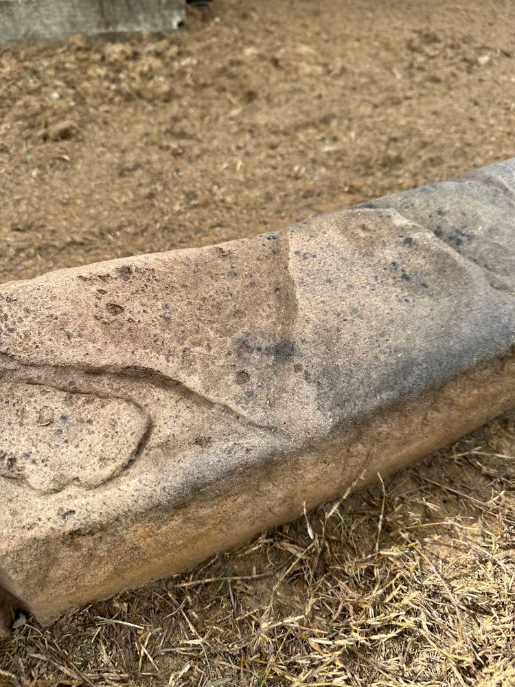 All Photos for Texas Curb N Borders in Houston, TX