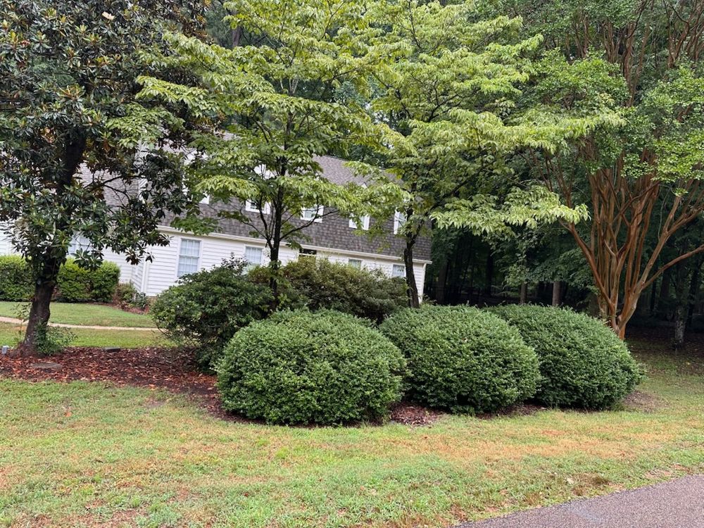 All Photos for Lewis Oaks Landscaping in King and Queen County, VA