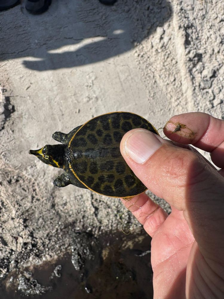 All Photos for McLeran in Naples, FL