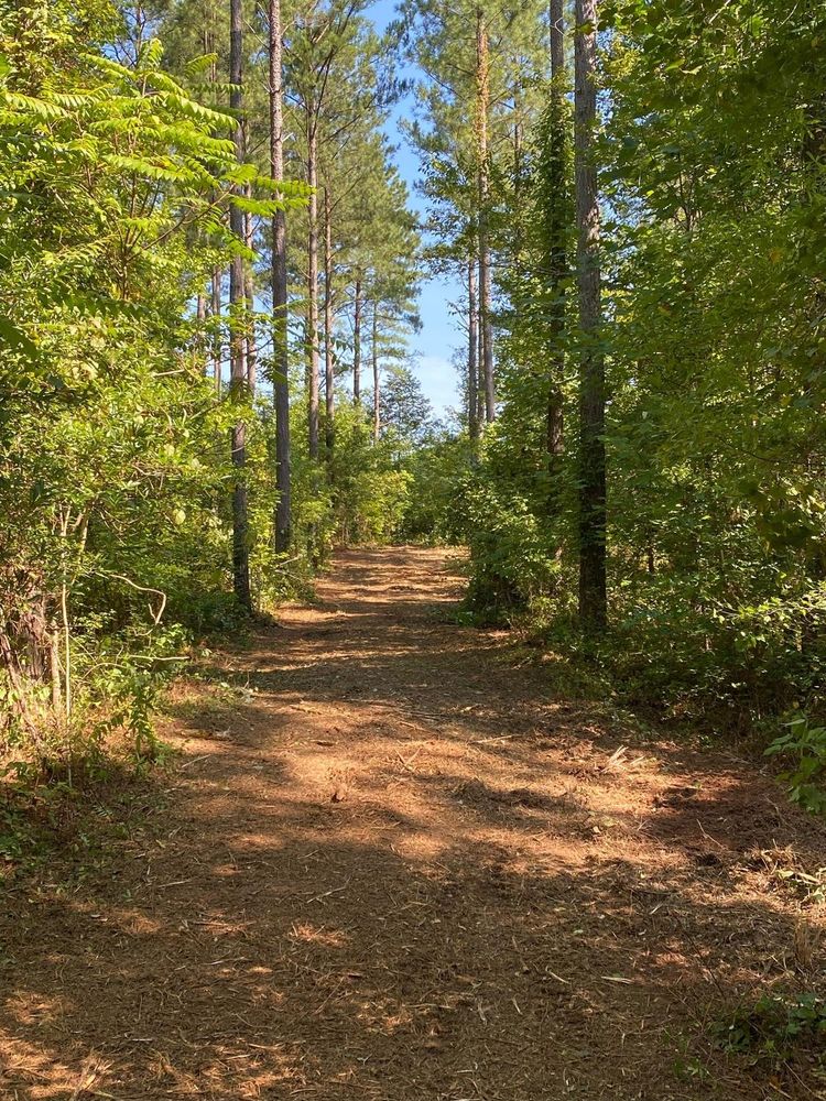 All Photos for Southern Land Solutions Forestry Mulching, LLC in Cleveland, NC