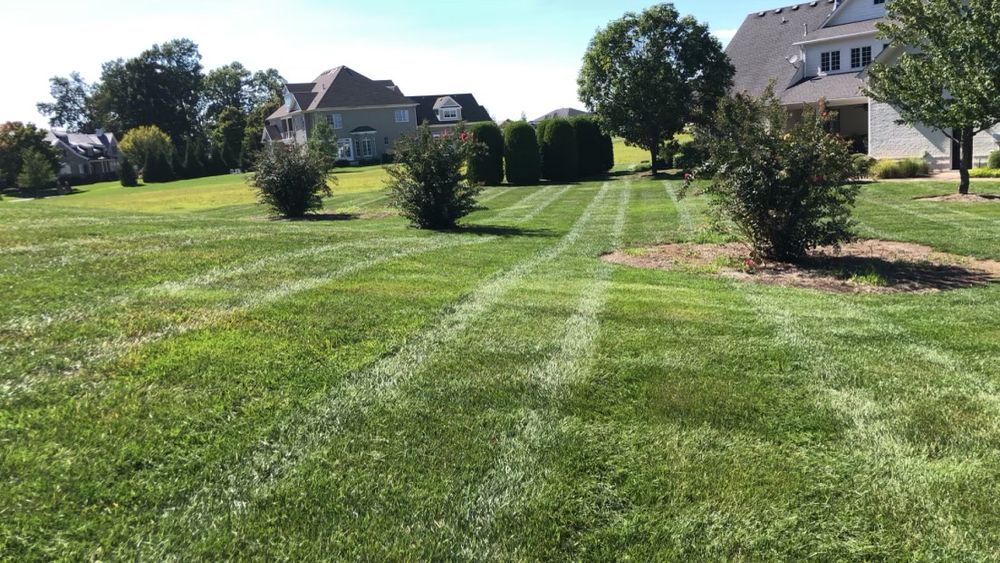 Lawn Care for Precision Lawn and Outdoor Services in Bowling Green, Kentucky