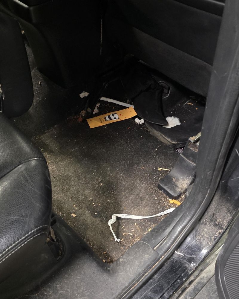 All Photos for Luxury Auto Detail in Peoria, IL