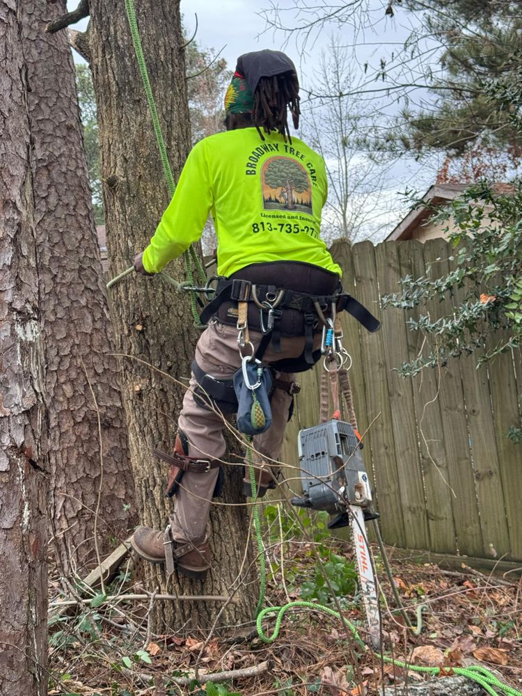 All Photos for Broadway Tree Care in Inverness, FL