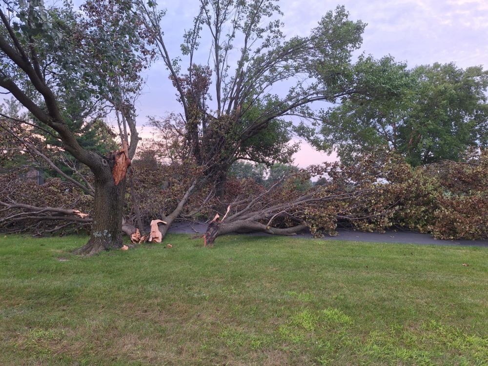 Emergency Storm Work for Highborn Tree Service in Wheatfield, IN