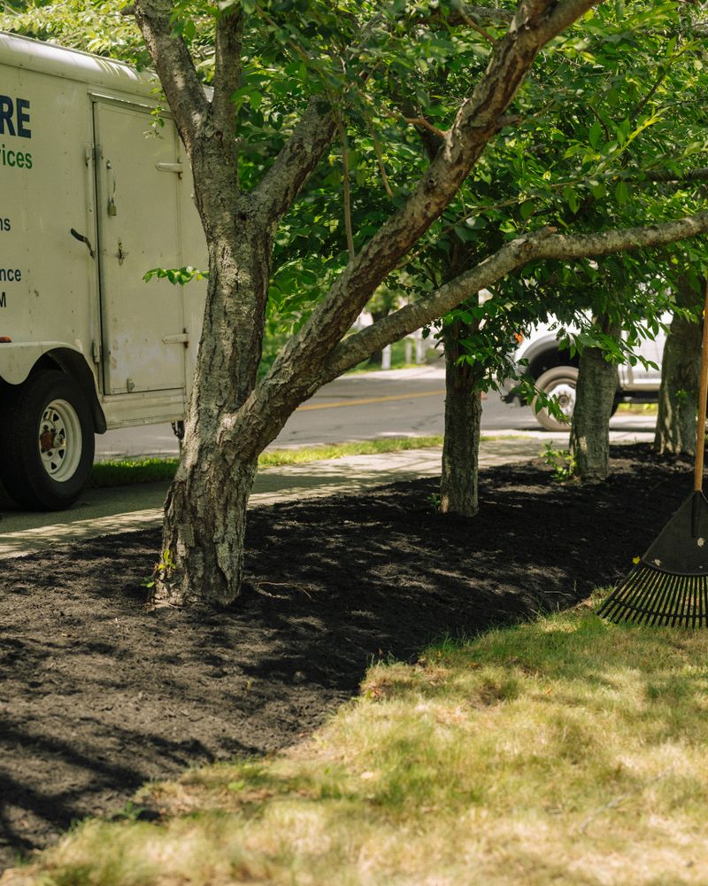 All Photos for Pungitore Landscapes, Irrigation & Fertilizer in Hingham, MA
