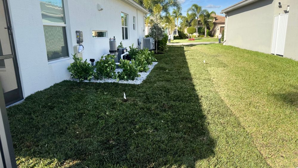 All Photos for South Florida Terra Systems in Boca Raton, FL