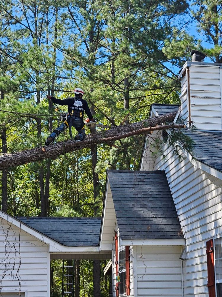 Ayla Tree Service team in Guyton, GA - people or person