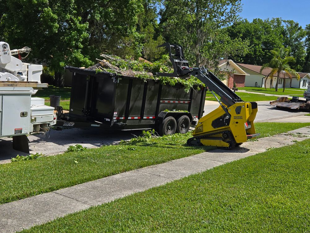 All Photos for Near Me Tree Service, Inc. in DeLand, FL