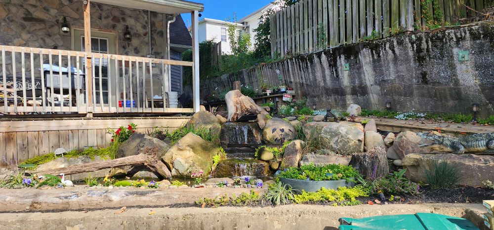 All Photos for Freeland's Water Gardens in Clarksburg, WV