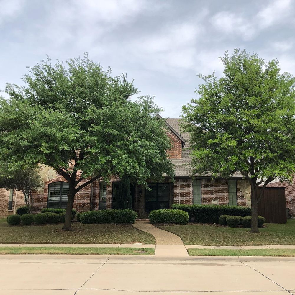 Enhance your property's curb appeal with our expert tree and shrub trimming services, designed to maintain healthy growth, improve aesthetics, and ensure safety by removing dead or overgrown branches efficiently. for Twin Oak Solutions in Plano, TX