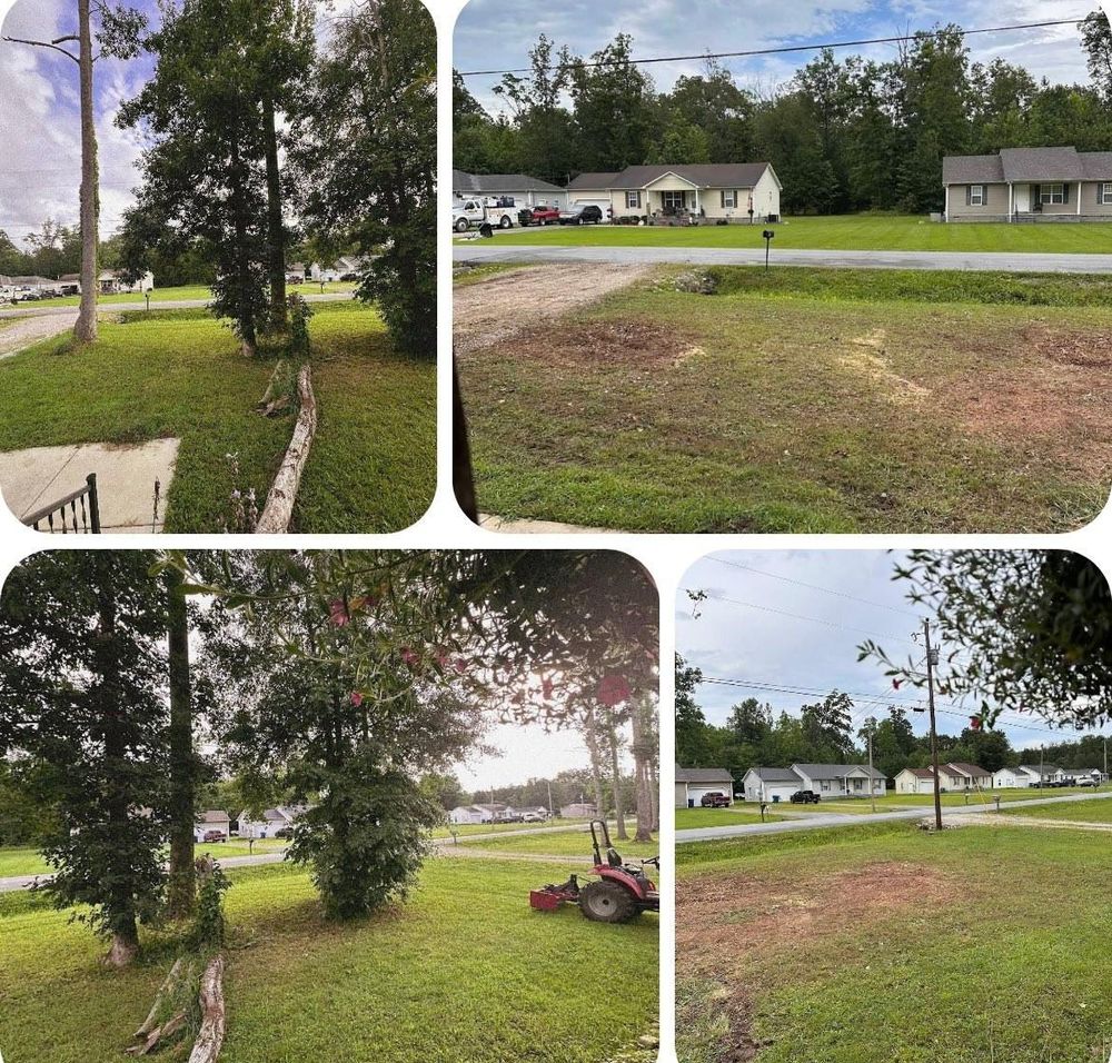 All Photos for McBee’s Tree Service in Sewanee, TN