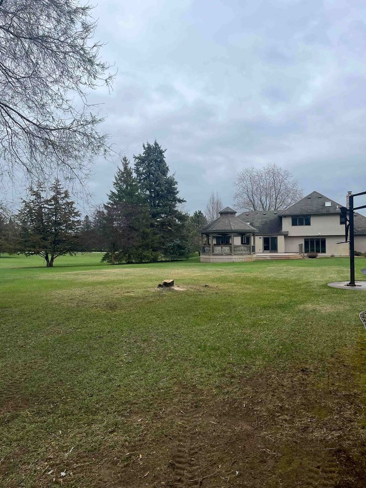 Trees for K and Z Tree Care in Andover, MN
