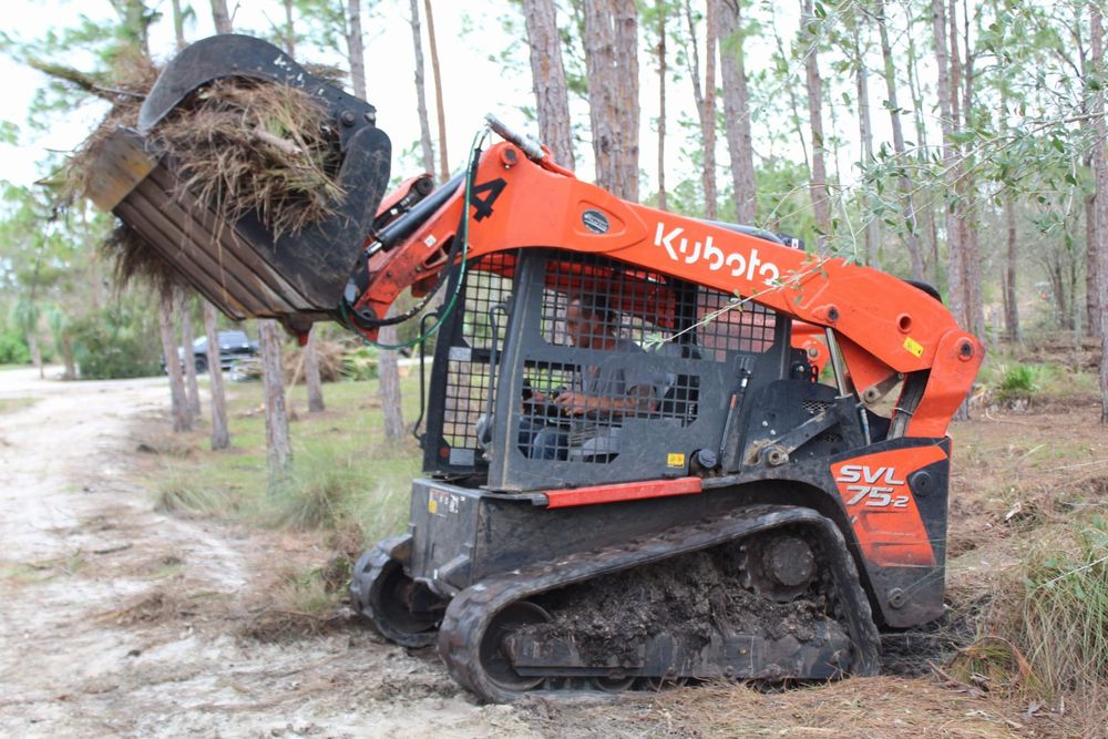 Tree Removal for American Tree Masters in Alvin, TX