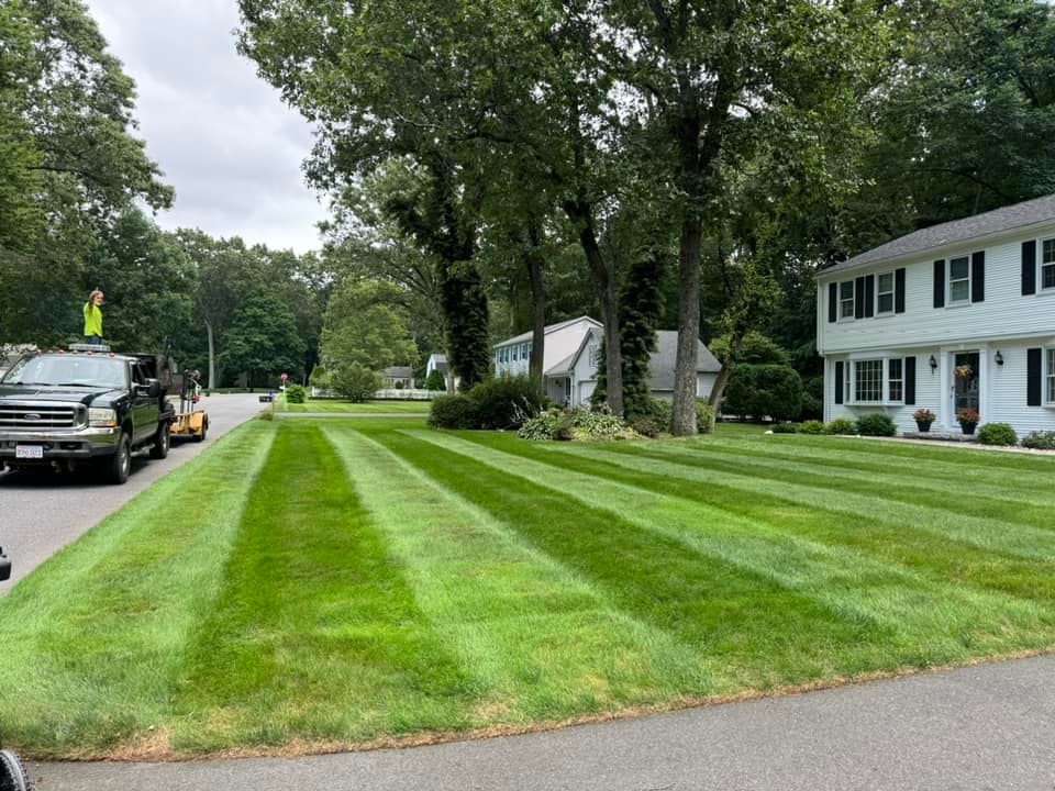 All Photos for Adams Landscaping in Springfield, MA