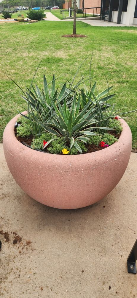 All Photos for Urban Lawn & Landscape in Oklahoma City, OK