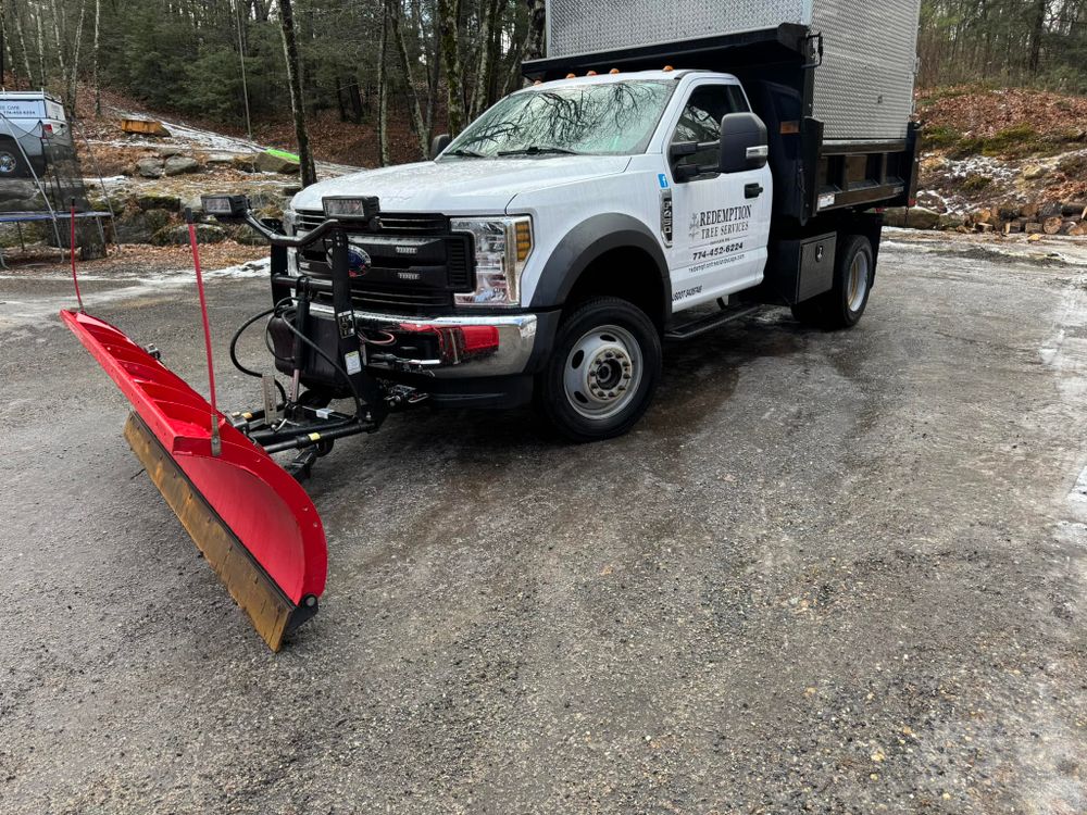 Tree Removal for Redemption Tree & Landscape LLC  in Oakham, MA