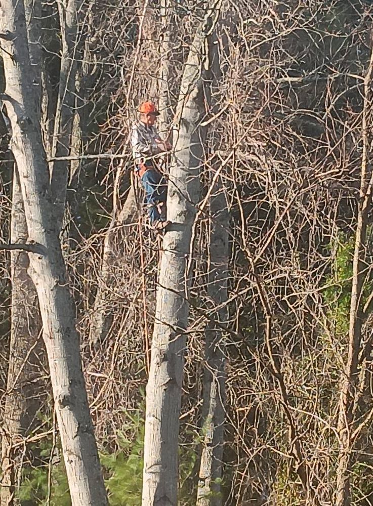 Our Bush Hogging service efficiently clears overgrown land, enhancing property aesthetics and accessibility, while safely tackling dense vegetation to prepare your landscape for further development or personal enjoyment. for PCC Land Works in Marshall, NC