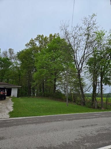 All Photos for Lightning Tree Service in Corydon, IN