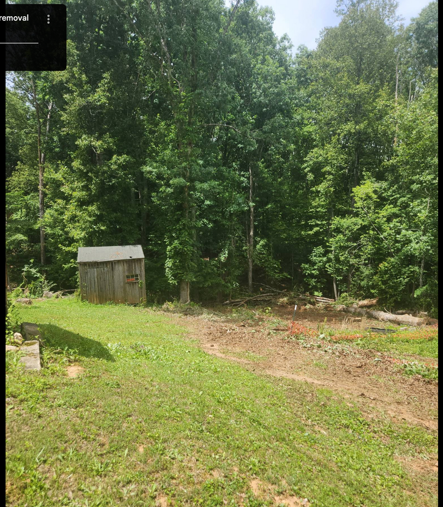 All Photos for Hamlett Tree Service LLC in Clover, VA