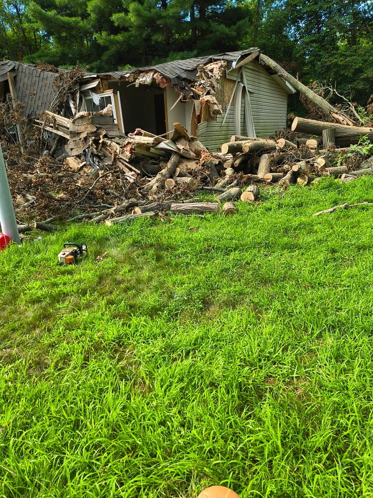 Tree Removal for Hunnicutt’s Tree Service L.L.C. in Monticello, IN