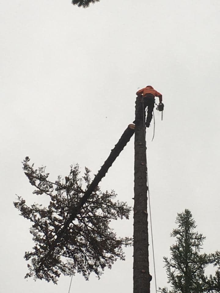 Ekstedt Tree Services team in Troy, MT - people or person