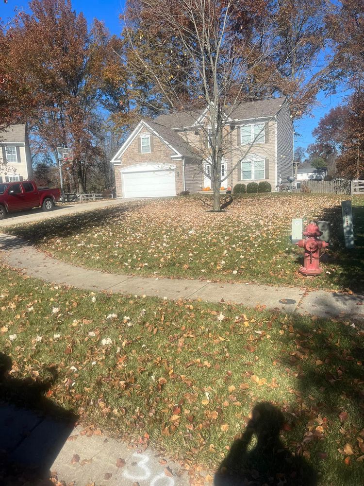 All Photos for Cincinnati’s Finest Landscape Services LLC in Cincinnati, OH