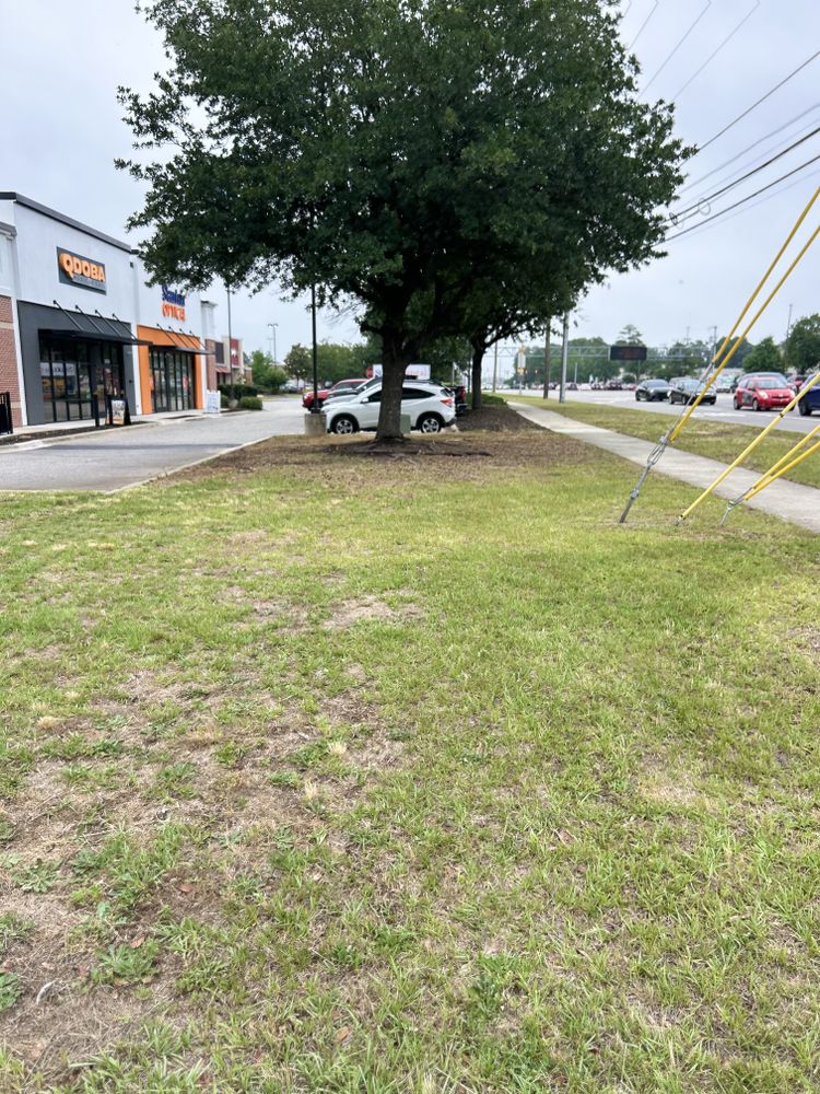 All Photos for Trinity Landscapes  in Lumberton, NC