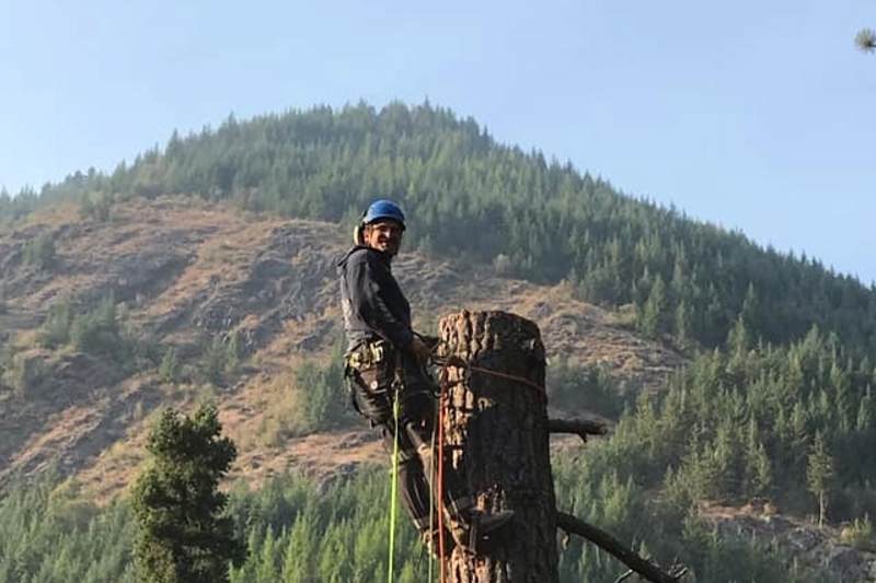 Tree Trimming and Removal for Summit Tree Care LLC in Fort Wayne, IN