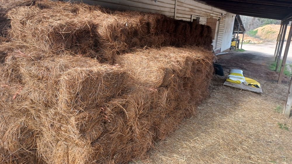 All Photos for Rocky's Pressure Washing & Lawn Care in Mooresville, NC