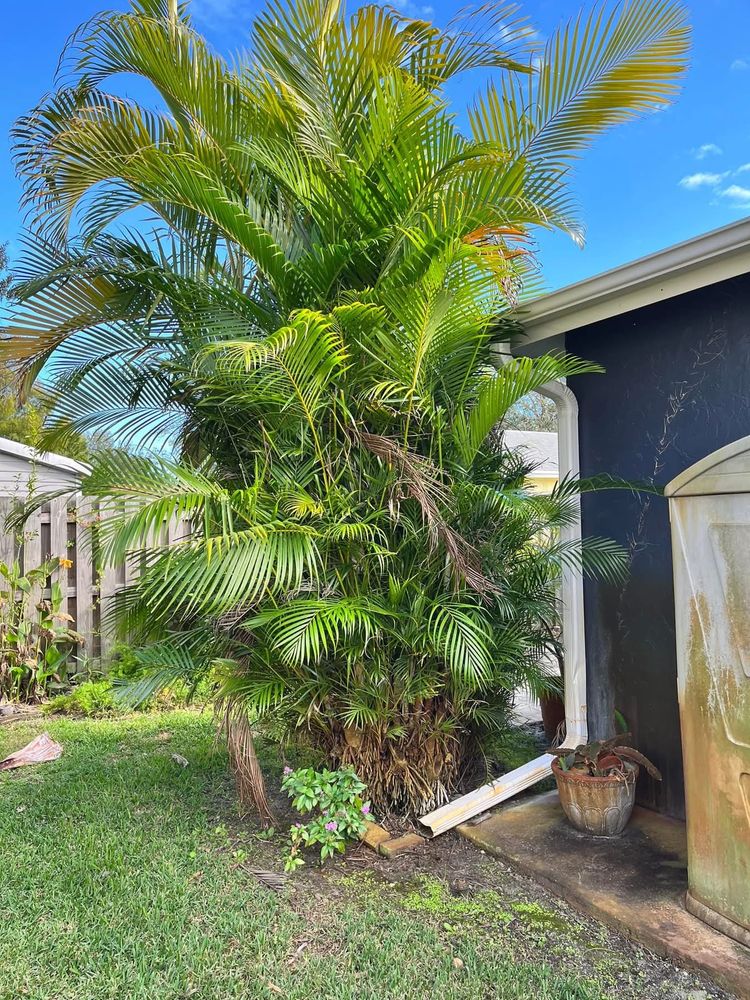 All Photos for Space Coast Property Maintenance and Management LLC in Melbourne, FL