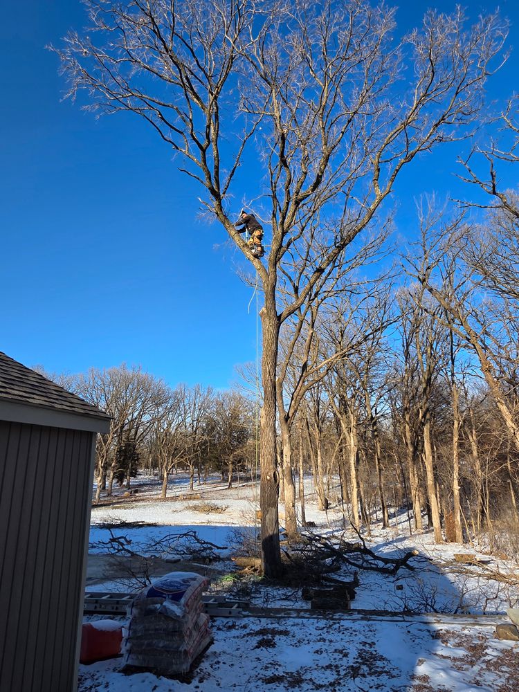 All Photos for Minnesota Seasonal LLC in Corcoran, MN