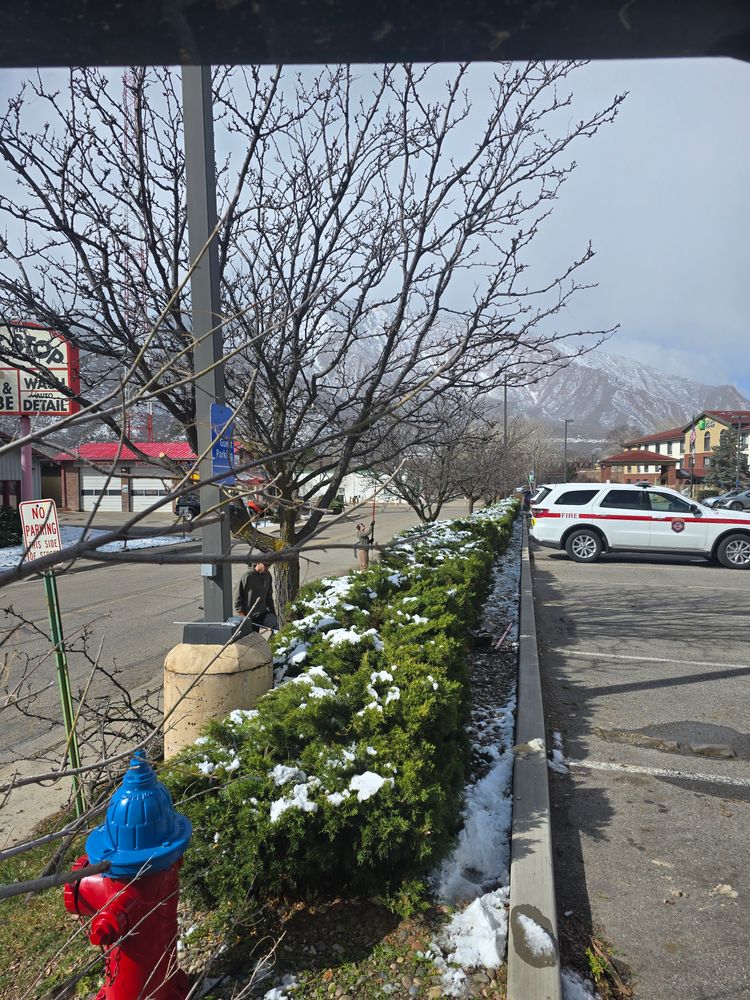 All Photos for LRS: Landscape, Rescue, Snow in Silt, CO