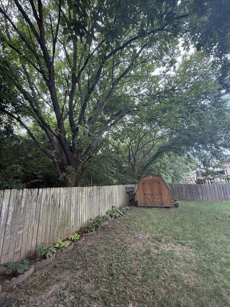 All Photos for Sky High Tree Service in Columbia, MO