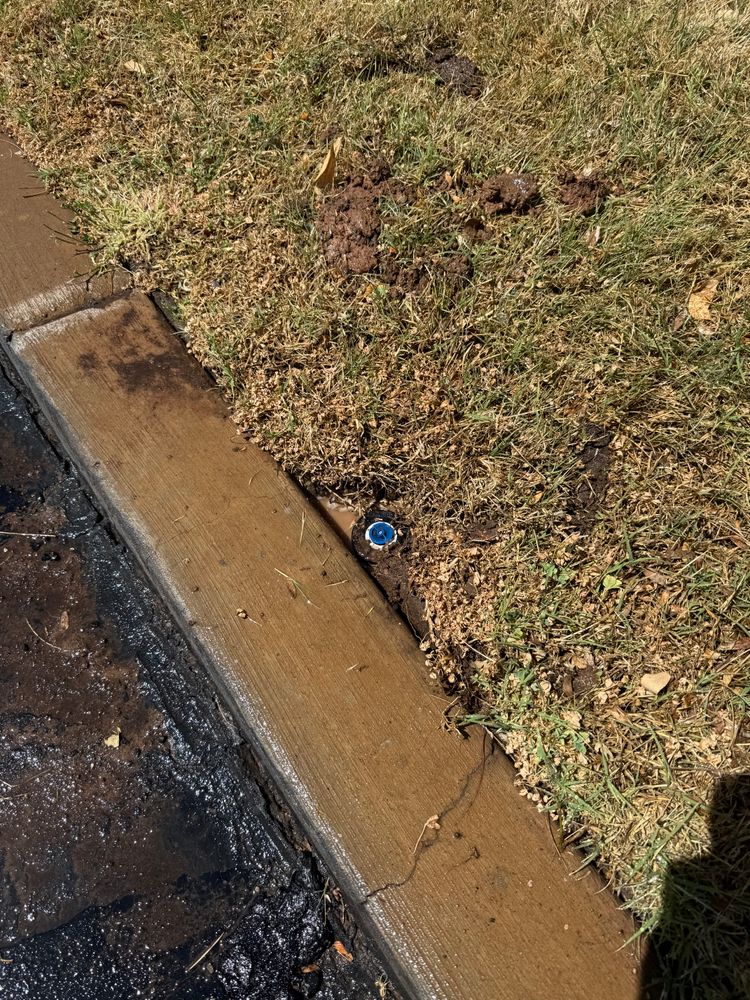 All Photos for Platinum Lawn Service in Santaquin, UT