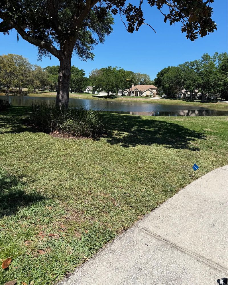 All Photos for Whole 9 Yards Services in Green Cove Springs, FL