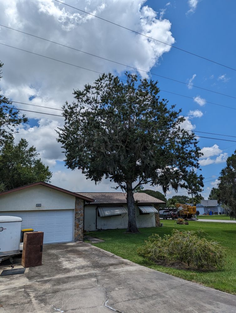 All Photos for Regal Tree Service and Stump Grinding in Wauchula, FL