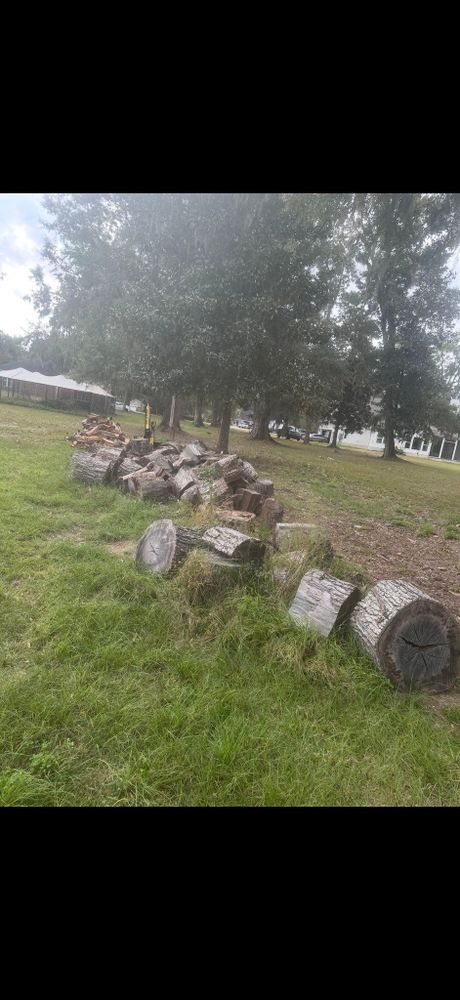 All Photos for Hawkins Tree Service & Land Management in Richmond Hill, GA