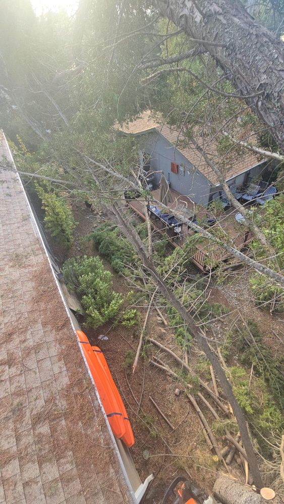 All Photos for Terra Heights Tree Experts & Landscaping  in Grass Valley,  CA
