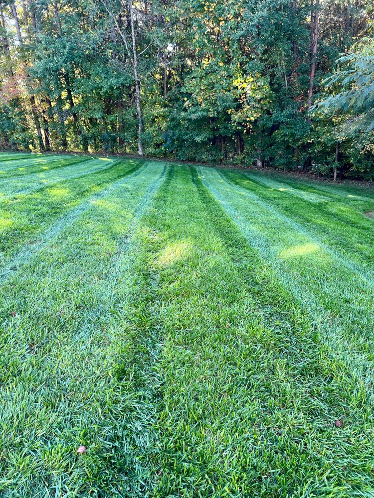 Fertilization and Weed Control Programs for Malboeuf Landscaping, Inc in Kernersville, NC