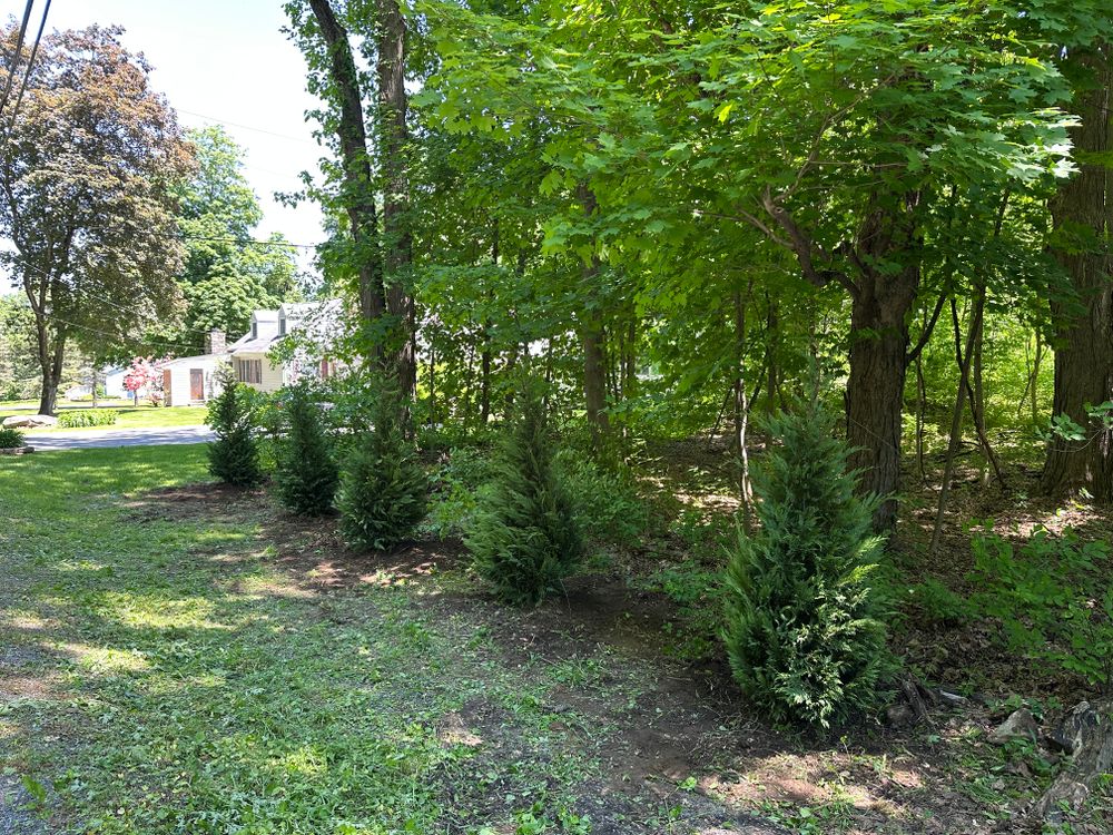 All Photos for Cuellar Lawn Care in Highland , NY 