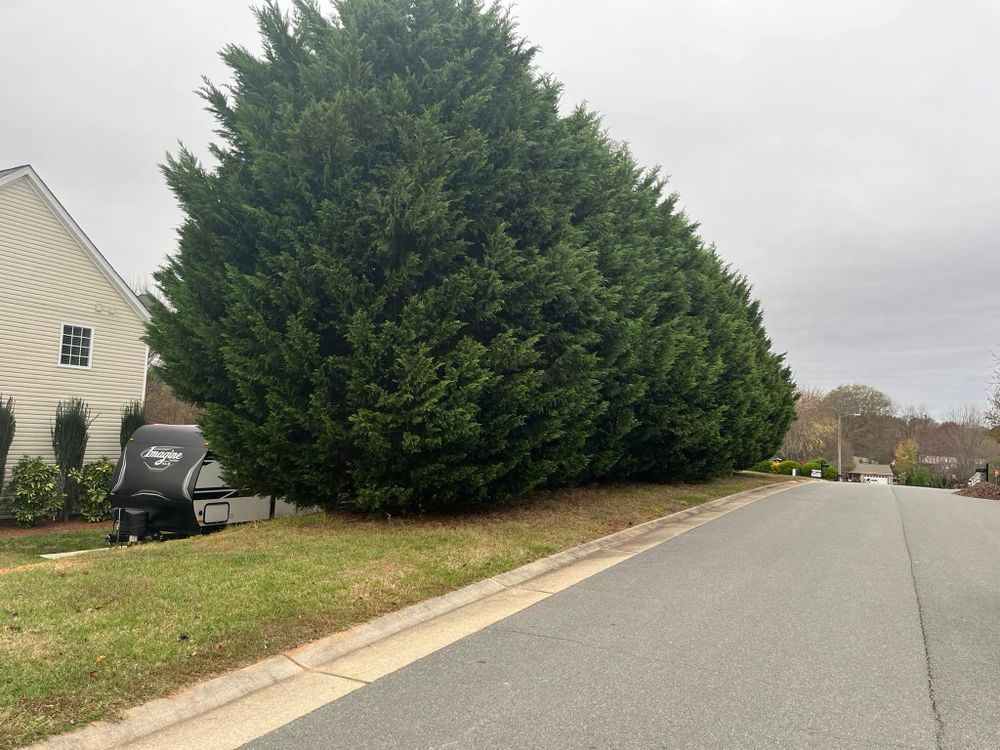 All Photos for DW’s Tree Service in Winston-Salem, NC