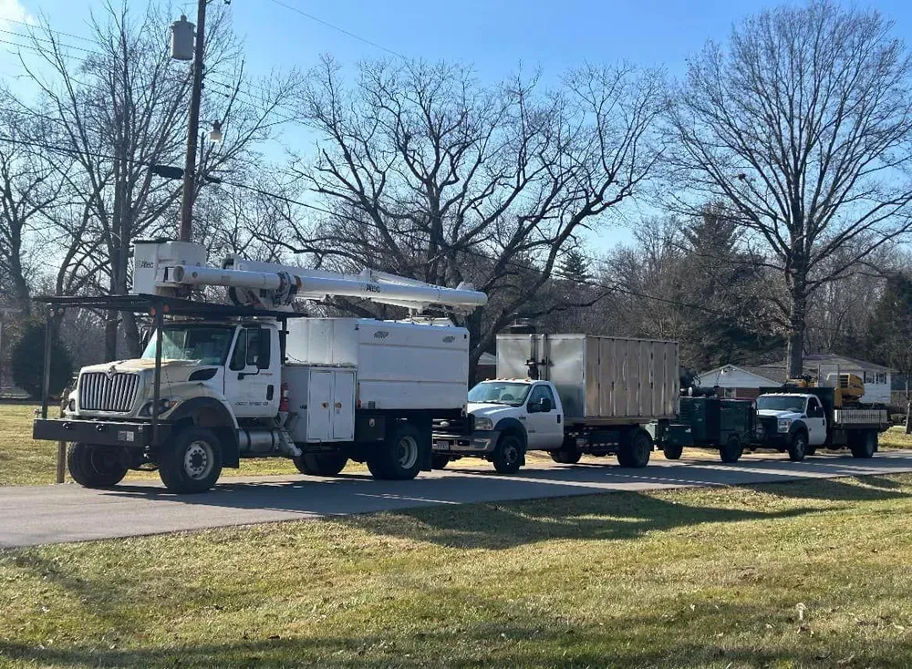 Dig-It Tree Company team in Mason, OH - people or person