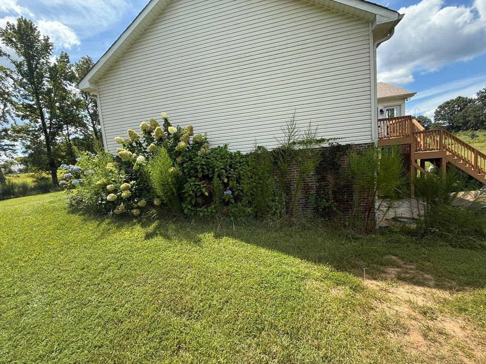 All Photos for Healthy Roots Landscaping in Apex, NC