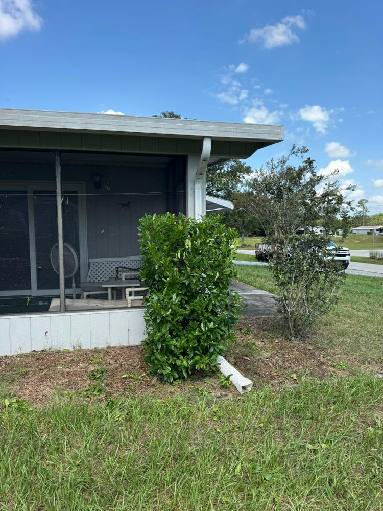 All Photos for Young's Lawn Services LLC in Ocala, FL