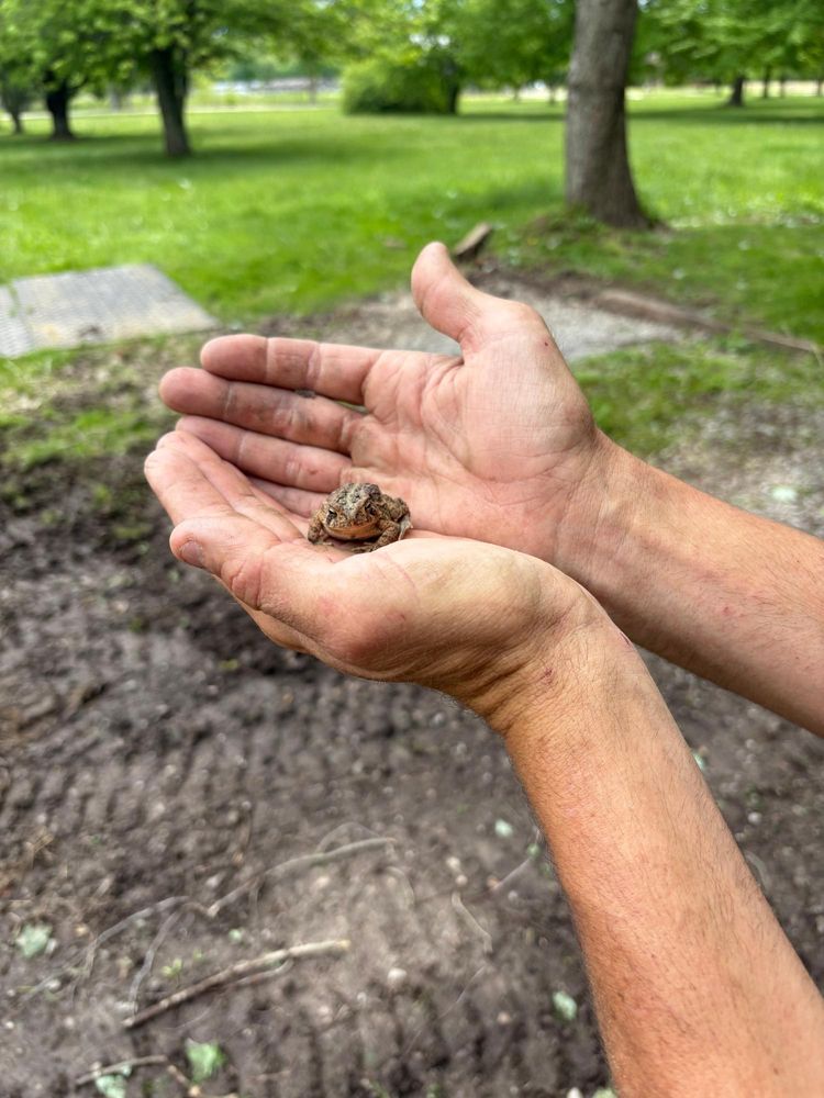 All Photos for Anstaetts Tree Service in Batavia, OH