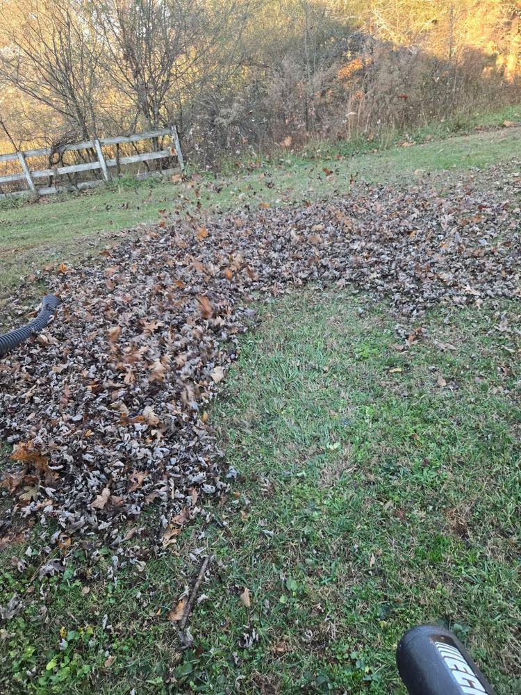 All Photos for Palmour's Lawn Care in Gainesville, GA