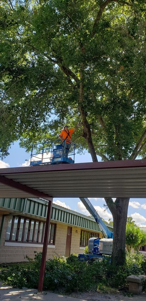 Tree Removal for Daniel Hickey’s Tree Service in DeLand, FL