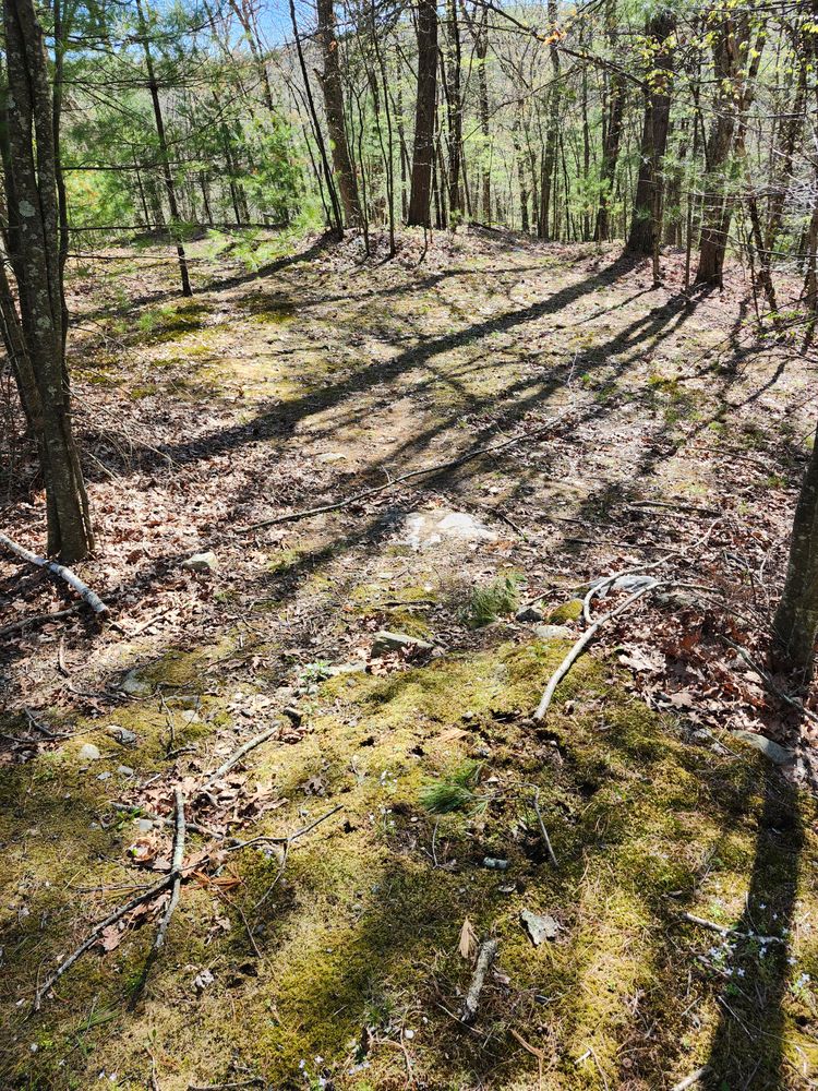 All Photos for Landscape Innovations LLC in Torrington, CT