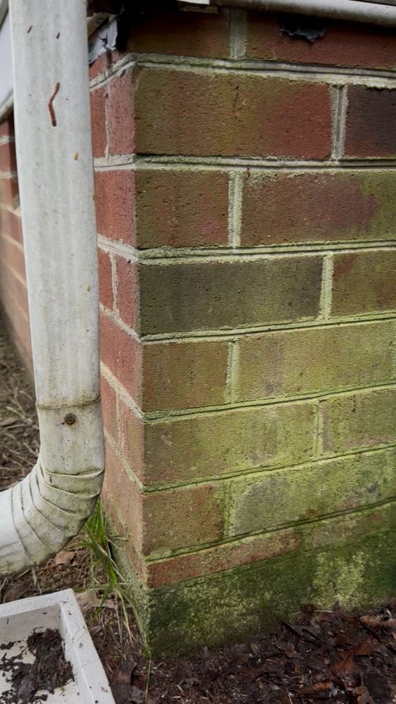 All Photos for LeafTide Solutions in Richmond, VA