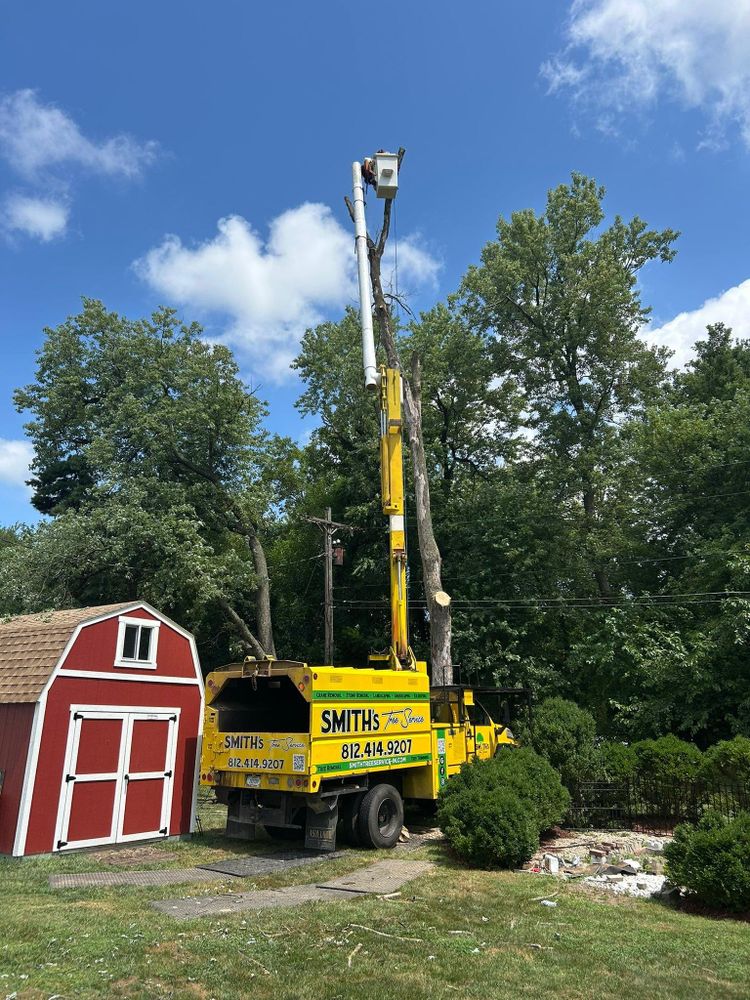 All Photos for SMITHs Tree Service in Columbus, IN